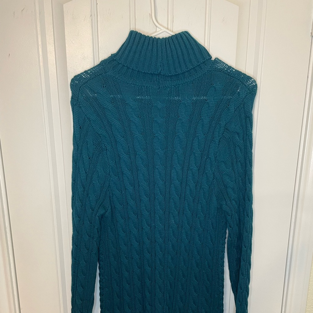 Turtle neck sweater dress